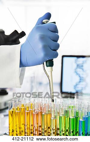 Close up of scientist pipetting solution into test tubes in lab View Large Photo Image Stock Image - Close up of scientist pipetting solution into test tubes in lab. Fotosearch