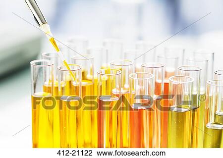 Close up of scientist pipetting solution into test tubes in lab View Large Photo Image Stock Image - Close up of scientist pipetting solution into test tubes in lab. Fotosearch