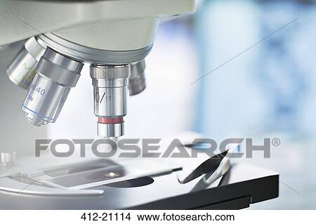 Close up of slide in microscope in lab View Large Photo Image Picture - Close up of slide in microscope in lab. Fotosearch