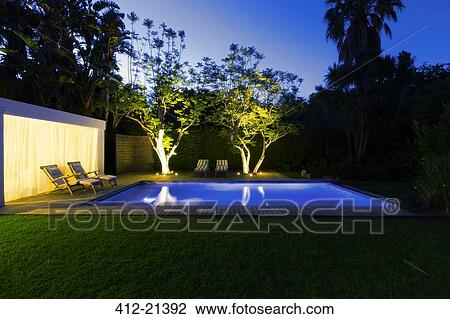 Illuminated swimming pool and trees in backyard at dusk View Large Photo Image Stock Image - Illuminated swimming pool and trees in backyard at dusk. Fotosearch
