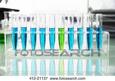 Rack of test tubes with solution on counter in lab View Large Photo Image Stock Photo - Rack of test tubes with solution on counter in lab. Fotosearch