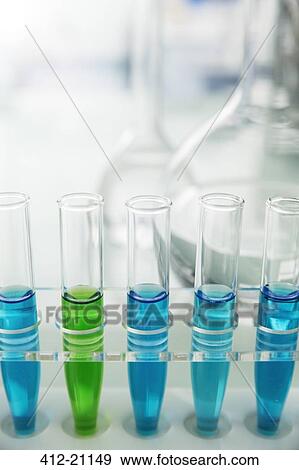 Rack of test tubes with solution on counter in lab View Large Photo Image Stock Photo - Rack of test tubes with solution on counter in lab. Fotosearch