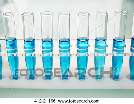 Rack of test tubes with solution on counter in lab View Large Photo Image Stock Photograph - Rack of test tubes with solution on counter in lab. Fotosearch