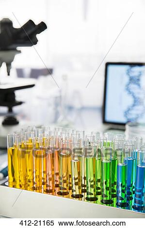 Rack of test tubes with solution on counter in lab View Large Photo Image Stock Photography - Rack of test tubes with solution on counter in lab. Fotosearch