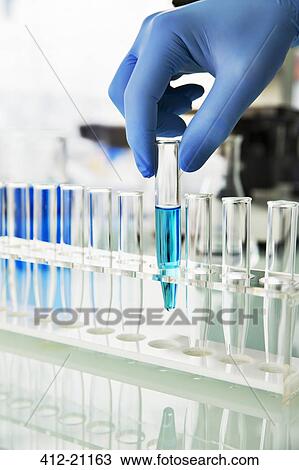 Scientist picking test tube out of rack on counter in lab View Large Photo Image Stock Image - Scientist picking test tube out of rack on counter in lab. Fotosearch