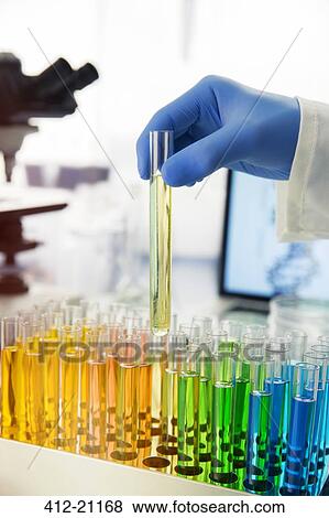 Scientist picking test tube out of rack on counter in lab View Large Photo Image Stock Photo - Scientist picking test tube out of rack on counter in lab. Fotosearch