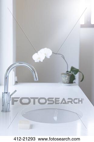 Sink, counter, bar of soap and flower in modern bathroom View Large Photo Image Stock Image - Sink, counter, bar of soap and flower in modern bathroom. Fotosearch