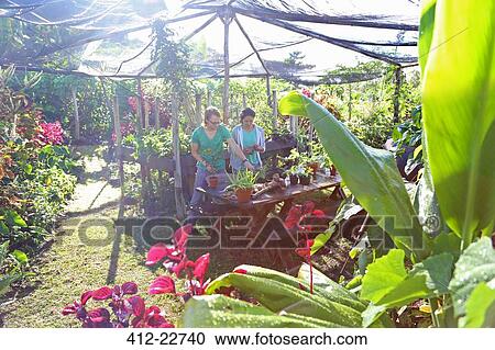 Stock Image - Couple gardening in sunny garden under canopy. Fotosearch