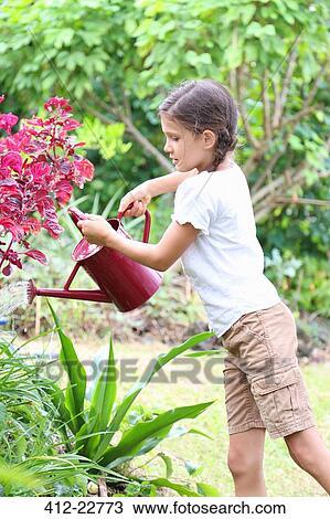 Girl watering plants in garden with red watering can View Large Photo Image Stock Image - Girl watering plants in garden with red watering can. Fotosearch