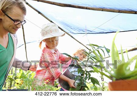 Man assisting girl watering plants with watering can in greenhouse, boy in background View Large Photo Image Stock Photograph - Man assisting girl watering plants with watering can in greenhouse, boy in background. Fotosearch