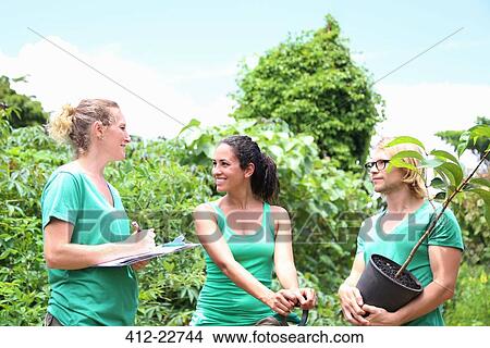 People with tree seedling in community garden View Large Photo Image Picture - People with tree seedling in community garden. Fotosearch