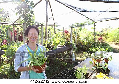 Portrait of smiling woman holding potted plant in greenhouse View Large Photo Image Stock Image - Portrait of smiling woman holding potted plant in greenhouse. Fotosearch