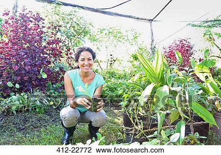 Portrait of smiling young woman holding seedling, crouching in greenhouse View Large Photo Image Stock Image - Portrait of smiling young woman holding seedling, crouching in greenhouse. Fotosearch