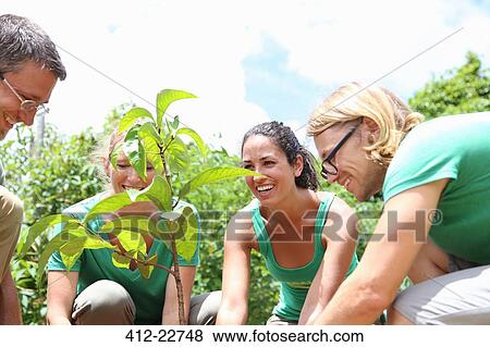 Smiling people planting tree in sunny garden View Large Photo Image Stock Photo - Smiling people planting tree in sunny garden. Fotosearch