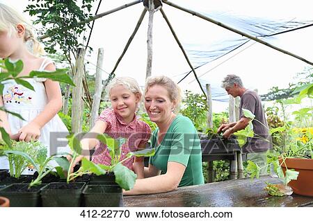 Smiling woman with two girls looking at seedlings in greenhouse, man in background View Large Photo Image Stock Image - Smiling woman with two girls looking at seedlings in greenhouse, man in background. Fotosearch
