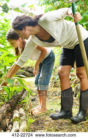 Woman and girl inspecting at plants growing in garden View Large Photo Image Picture - Woman and girl inspecting at plants growing in garden. Fotosearch