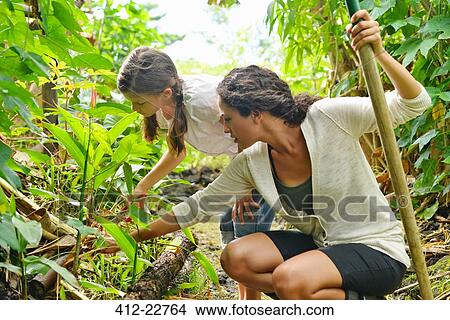 Woman and girl inspecting plants in garden View Large Photo Image Picture - Woman and girl inspecting plants in garden. Fotosearch