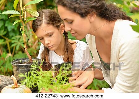 Stock Image - Woman and girl potting plants in garden. Fotosearch