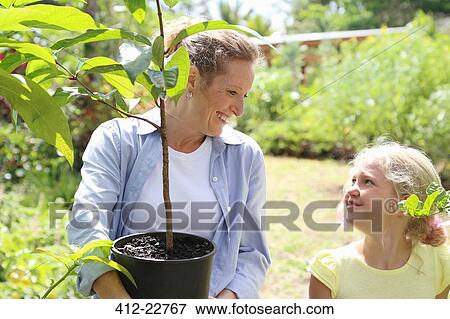 Woman and girl with tree seedling in sunny garden View Large Photo Image Stock Photo - Woman and girl with tree seedling in sunny garden. Fotosearch