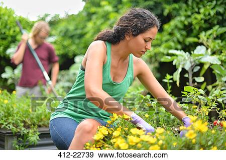 Woman wearing tank top and gloves gardening, man raking in background View Large Photo Image Stock Photo - Woman wearing tank top and gloves gardening, man raking in background. Fotosearch