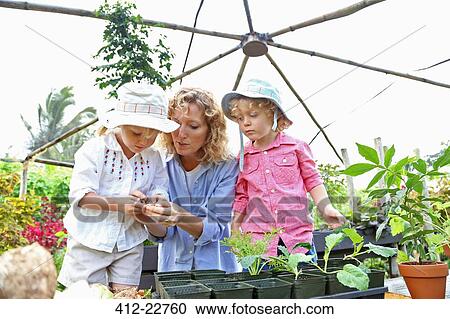 Woman with two children planting seedlings in greenhouse View Large Photo Image Stock Image - Woman with two children planting seedlings in greenhouse. Fotosearch