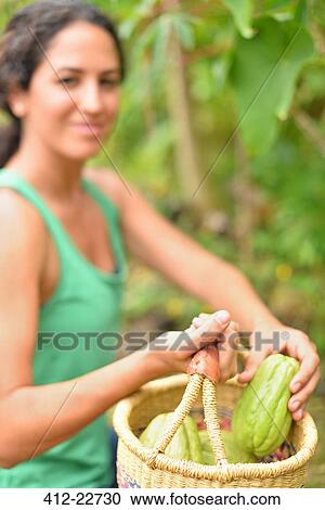 Young woman carrying basket with fresh vegetables View Large Photo Image Stock Image - Young woman carrying basket with fresh vegetables. Fotosearch