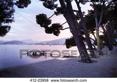 View of huge trees and empty jetty in bay with mountains in background View Large Photo Image Stock Photo - View of huge trees and empty jetty in bay with mountains in background. Fotosearch