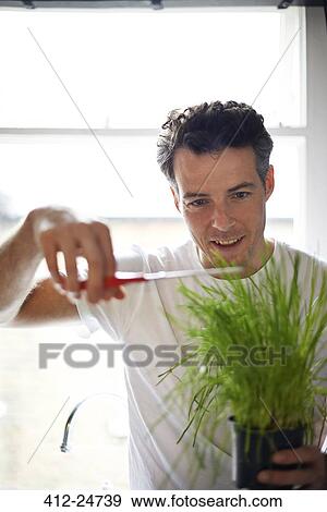 Man cutting potted plant with scissors View Large Photo Image Stock Photo - Man cutting potted plant with scissors. Fotosearch