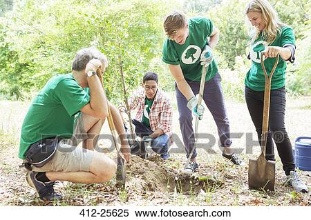 Environmentalist volunteers planting new tree View Large Photo Image Stock Photography - Environmentalist volunteers planting new tree. Fotosearch