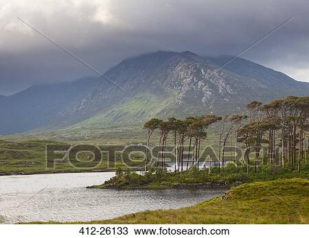 "Green cliffs, Connemara, Ireland" View Large Photo Image Stock Image - "Green cliffs, Connemara, Ireland". Fotosearch
