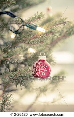 Red ornament and string lights on Christmas tree View Large Photo Image Stock Image - Red ornament and string lights on Christmas tree. Fotosearch
