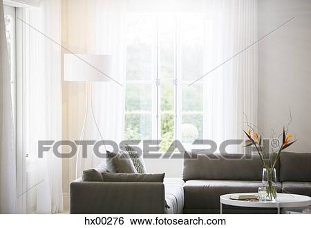 Birds of paradise bouquet on coffee table in living room View Large Photo Image Stock Photograph - Birds of paradise bouquet on coffee table in living room. Fotosearch