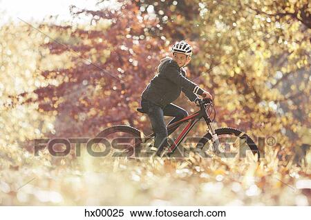Boy bike riding in woods with autumn leaves View Large Photo Image Stock Photography - Boy bike riding in woods with autumn leaves. Fotosearch