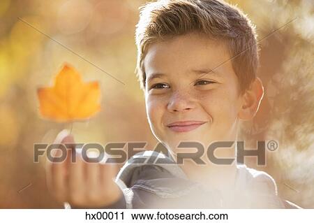 Close up boy holding golden autumn leaf View Large Photo Image Stock Image - Close up boy holding golden autumn leaf. Fotosearch