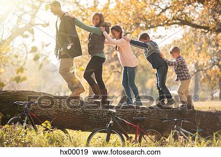 Stock Photo - Family walking in a row on fallen log near bicycles. Fotosearch