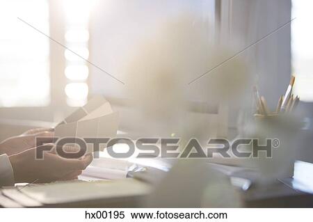 Interior designer holding paint swatches in sunny office View Large Photo Image Stock Photography - Interior designer holding paint swatches in sunny office. Fotosearch