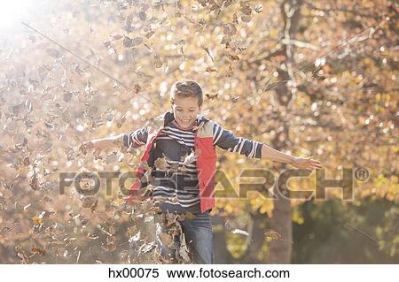 Playful boy playing in autumn leaves View Large Photo Image Stock Photography - Playful boy playing in autumn leaves. Fotosearch
