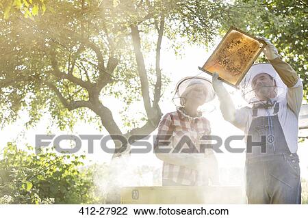 Stock Image - Beekeepers in protective hats examining bees on honeycomb. Fotosearch