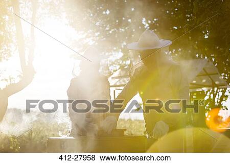 Beekeepers in protective suits examining sunny hives View Large Photo Image Stock Photo - Beekeepers in protective suits examining sunny hives. Fotosearch