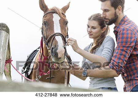Stock Photo - Couple adjusting bridle on horse. Fotosearch