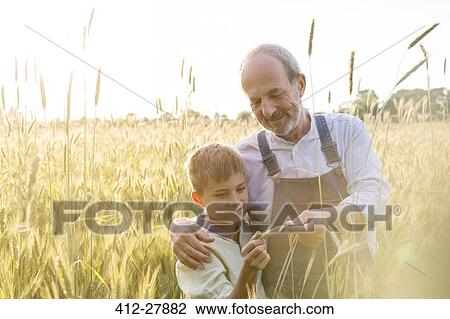 Farmer grandfather and grandson examining rural wheat crop View Large Photo Image Stock Image - Farmer grandfather and grandson examining rural wheat crop. Fotosearch