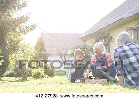 Grandparents and grandson eating harvested strawberries in sunny yard View Large Photo Image Stock Photo - Grandparents and grandson eating harvested strawberries in sunny yard. Fotosearch
