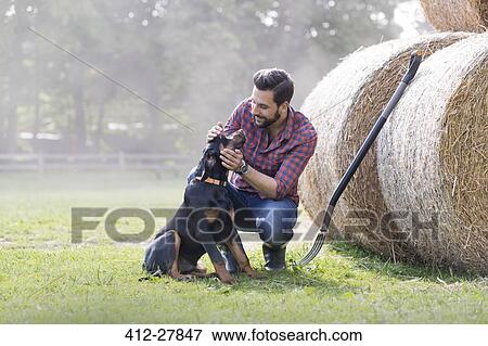 Man petting dog next to rolled hay bales View Large Photo Image Stock Photo - Man petting dog next to rolled hay bales. Fotosearch