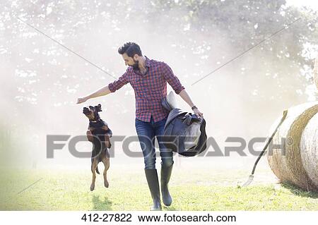 Man with saddle walking with jumping dog View Large Photo Image Stock Image - Man with saddle walking with jumping dog. Fotosearch
