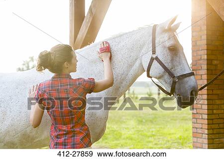 Woman brushing horse View Large Photo Image Stock Photo - Woman brushing horse. Fotosearch