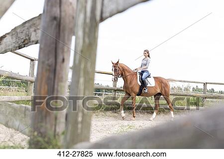 Woman horseback riding in fenced rural pasture View Large Photo Image Stock Photography - Woman horseback riding in fenced rural pasture. Fotosearch
