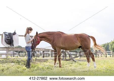 Woman preparing horse for horseback riding in rural pasture View Large Photo Image Stock Image - Woman preparing horse for horseback riding in rural pasture. Fotosearch