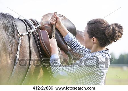 Woman tightening horse saddle for horseback riding View Large Photo Image Stock Photograph - Woman tightening horse saddle for horseback riding. Fotosearch