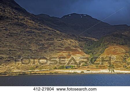 Picture - Green and brown mountains over lake, Loch Eilt, Glenfinnan, Scotland. Fotosearch