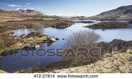 Picture - Sunny view of remote lake, Scotland. Fotosearch